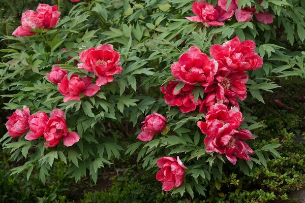 Organisez une Époustouflante Soirée Aquabike entre Amis : Le Guide Complet pour un Moment Inoubliable